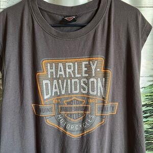 Harley-Davidson Beartooth Stone Gray Men’s Muscle Shirt